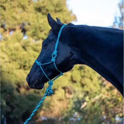 Shires ARMA - Rope Halter & Lead Set -
