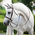 Dy'on Dy'on - Wide Noseband Hunter Bridle - US Collection -