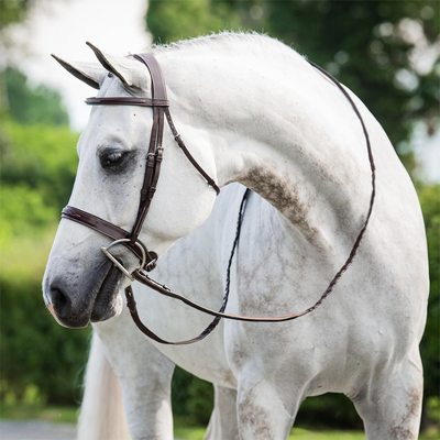 Dy'on Dy'on - Wide Noseband Hunter Bridle - US Collection -