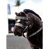 LeMieux LeMieux - Toy Pony Hunter Bridle - Brown