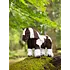 LeMieux LeMieux - Toy Pony Dazzle