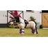 LeMieux LeMieux - Toy Pony Pad - Mallow