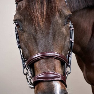 Dy'on Dy'on - Double Noseband Bridle