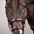 Dy'on Dy'on - Double Noseband Bridle
