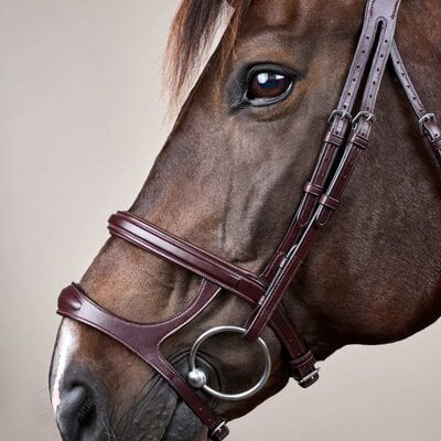 Dy'on Dy'on - Double Noseband Bridle
