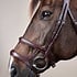 Dy'on Dy'on - Double Noseband Bridle