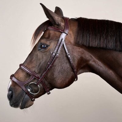 Dy'on Dy'on - Double Noseband Bridle
