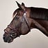 Dy'on Dy'on - Double Noseband Bridle