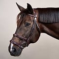 Dy'on Dy'on - Double Noseband Bridle