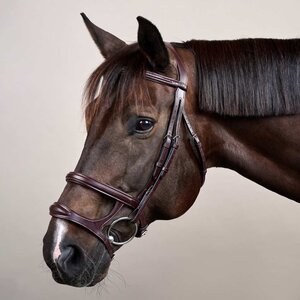 Dy'on Dy'on - Double Noseband Bridle