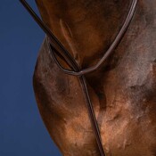Dy'on Dy'on - Standing Martingale