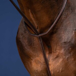 Dy'on Dy'on - Standing Martingale