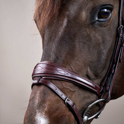 Dy'on Dy'on - Anatomic Flash Noseband Bridle