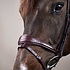 Dy'on Dy'on - Anatomic Flash Noseband Bridle
