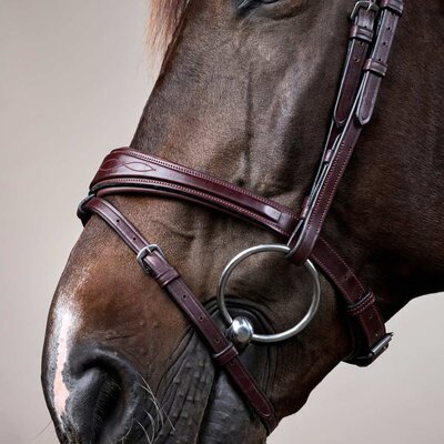 Dy'on Dy'on - Anatomic Flash Noseband Bridle