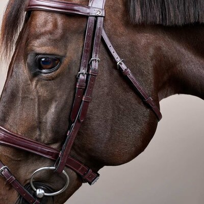 Dy'on Dy'on - Anatomic Flash Noseband Bridle