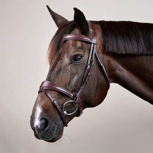 Dy'on Dy'on - Anatomic Flash Noseband Bridle