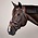 Dy'on Dy'on - Anatomic Flash Noseband Bridle