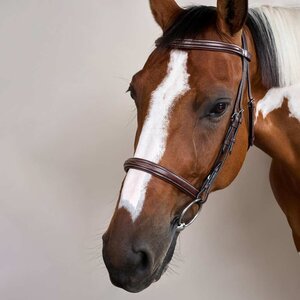 Dy'on Dy'on - Cavesson Hunter Noseband Bridle
