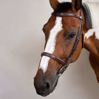 Dy'on Dy'on - Cavesson Hunter Noseband Bridle