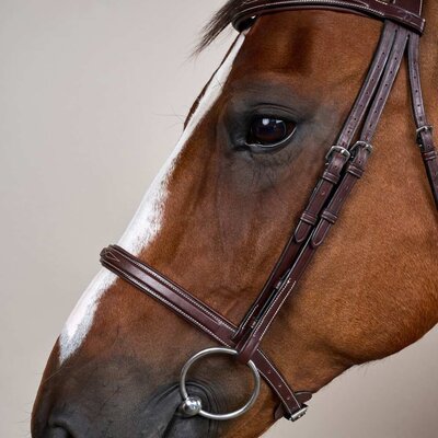 Dy'on Dy'on - Cavesson Hunter Noseband Bridle