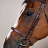 Dy'on Dy'on - Cavesson Hunter Noseband Bridle