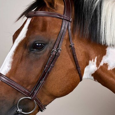 Dy'on Dy'on - Cavesson Hunter Noseband Bridle