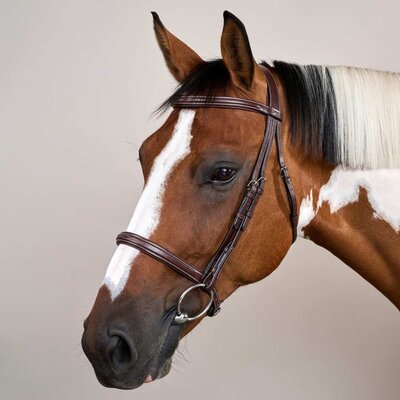 Dy'on Dy'on - Cavesson Hunter Noseband Bridle