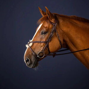 Dy'on Dy'on - Figure 8 Noseband Bridle - New English Collection