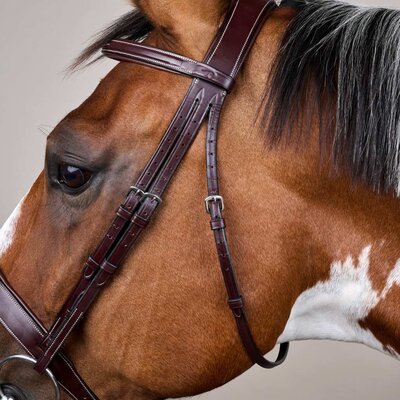 Dy'on Dy'on - Wide Noseband Hunter Bridle - US Collection