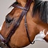 Dy'on Dy'on - Wide Noseband Hunter Bridle - US Collection
