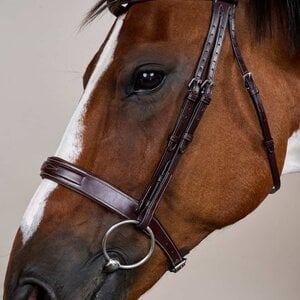 Dy'on Dy'on - Wide Noseband Hunter Bridle - US Collection