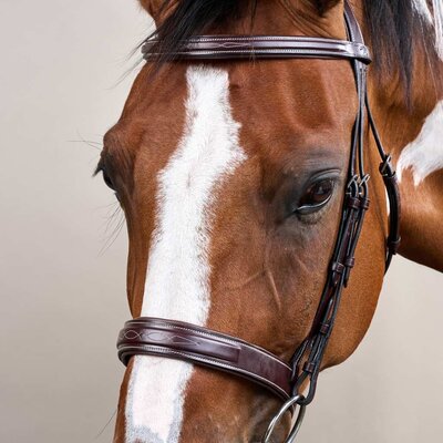 Dy'on Dy'on - Wide Noseband Hunter Bridle - US Collection