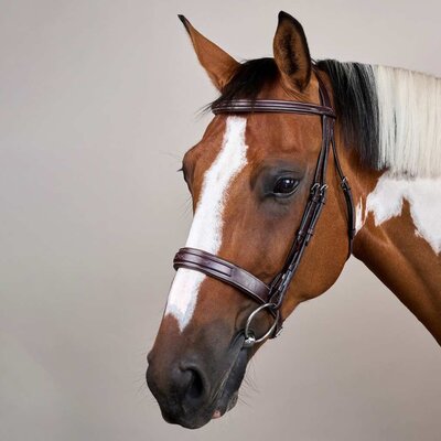 Dy'on Dy'on - Wide Noseband Hunter Bridle - US Collection