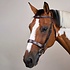 Dy'on Dy'on - Wide Noseband Hunter Bridle - US Collection