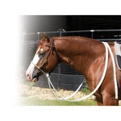 Professional's Choice - Loping Hackamore w/ Rawhide Nose