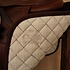 Sixteen Cypress 16C Daily Sport Jumper Saddle Pad - Black