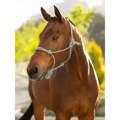 LeMieux LeMieux - Rope Halter - Macaron One Size