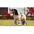 LeMieux LeMieux - Toy Pony Fly Hood - Mallow