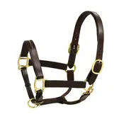 Aramas Aramas - Fancy Stitched Self-Padded Halter - Oakbark Full