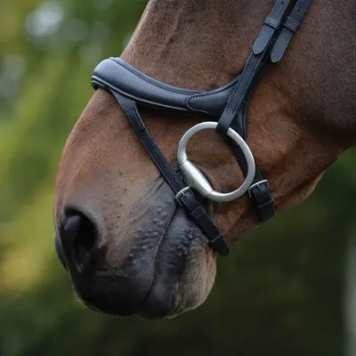 Collegiate - Comfitec Vogue Anatomical Bridle -