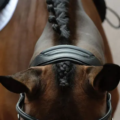 Collegiate - Comfitec Vogue Anatomical Bridle -