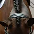 Collegiate - Comfitec Vogue Anatomical Bridle -
