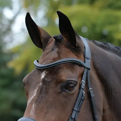 Collegiate - Comfitec Vogue Anatomical Bridle -