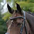 Collegiate - Comfitec Vogue Anatomical Bridle -