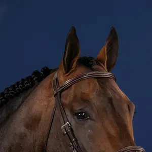 Dy'on Dy'on Straight Browband - US Collection