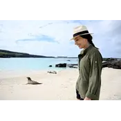 70 Degrees 70° - Safari 2.0 - Olive
