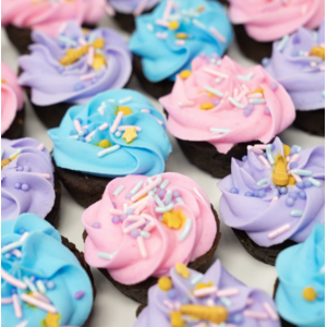 The Posh Pony The Posh Pony - Cupcakes - Unicorn