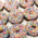 The Posh Pony The Posh Pony - Homemade Mini Donuts - Classic