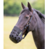 Shires Shires - FreeGraze Comfort Grazing Muzzle - Pony